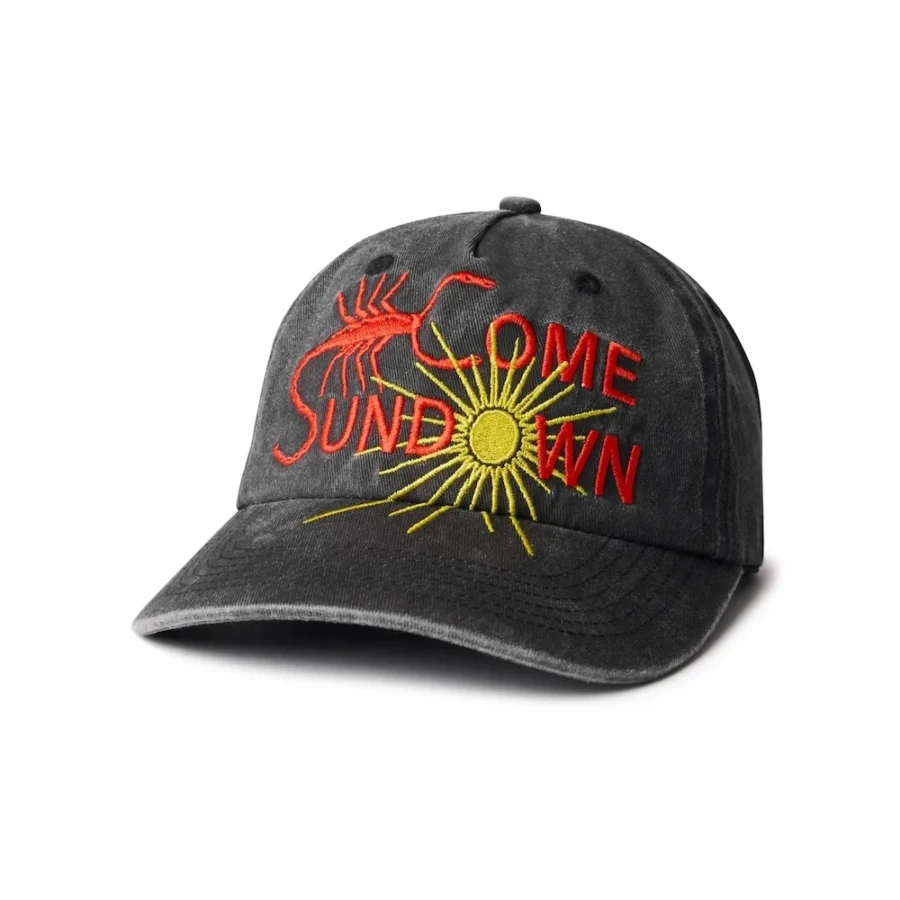 Come Sundown Entomolgy Cap - Washed Black